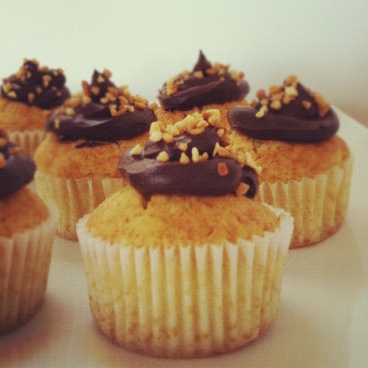 Boticake CUPCAKES DE VAINILLA Y CHOCOLATE/ VANILLA & CHOCOLATE CUPCAKES
